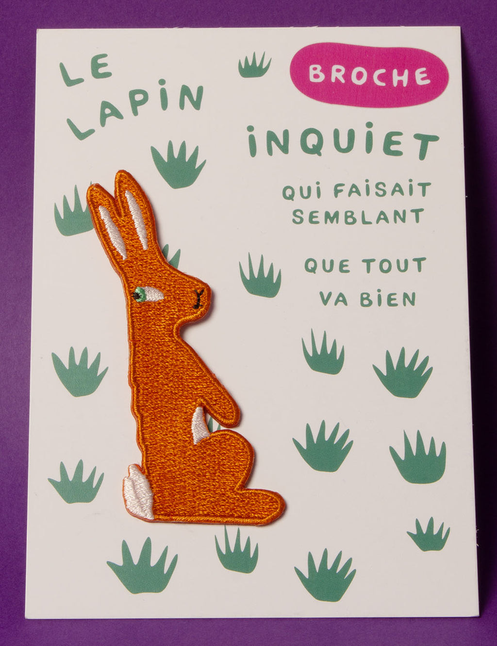LE LAPIN INQUIET - broche